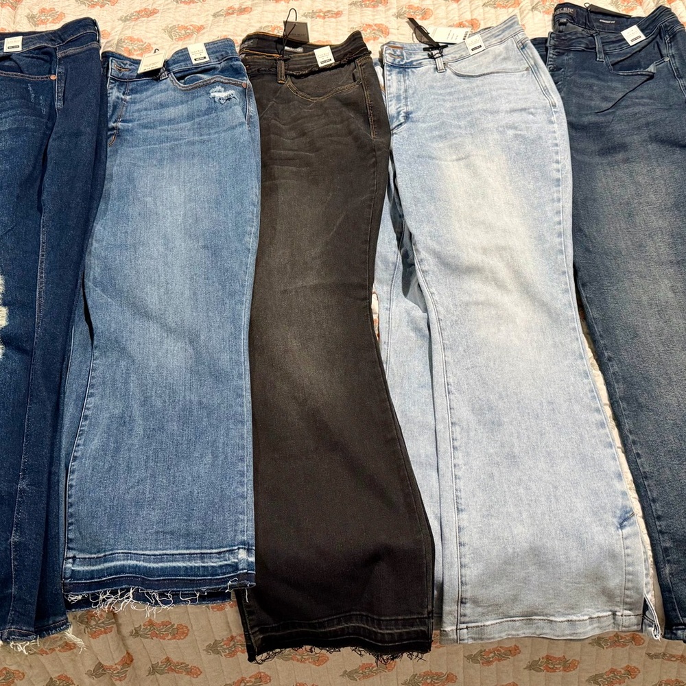PLUS SIZE Judy Blue Jeans Lot